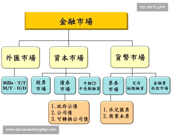 打造可持续竞争力的足球俱乐部财务管理与战略规划探索